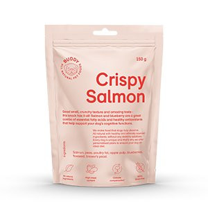 Buddy Crispy Salmon