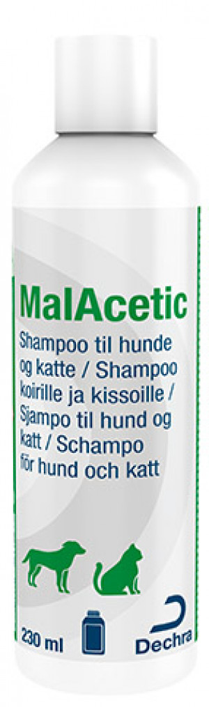 MalAcetic shampoo hund og kat
