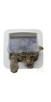 SureFlap Microchip Kattelem