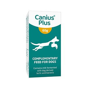 Canius Plus,