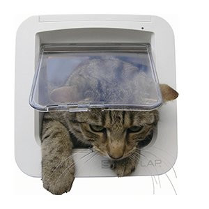 SureFlap Microchip Kattelem